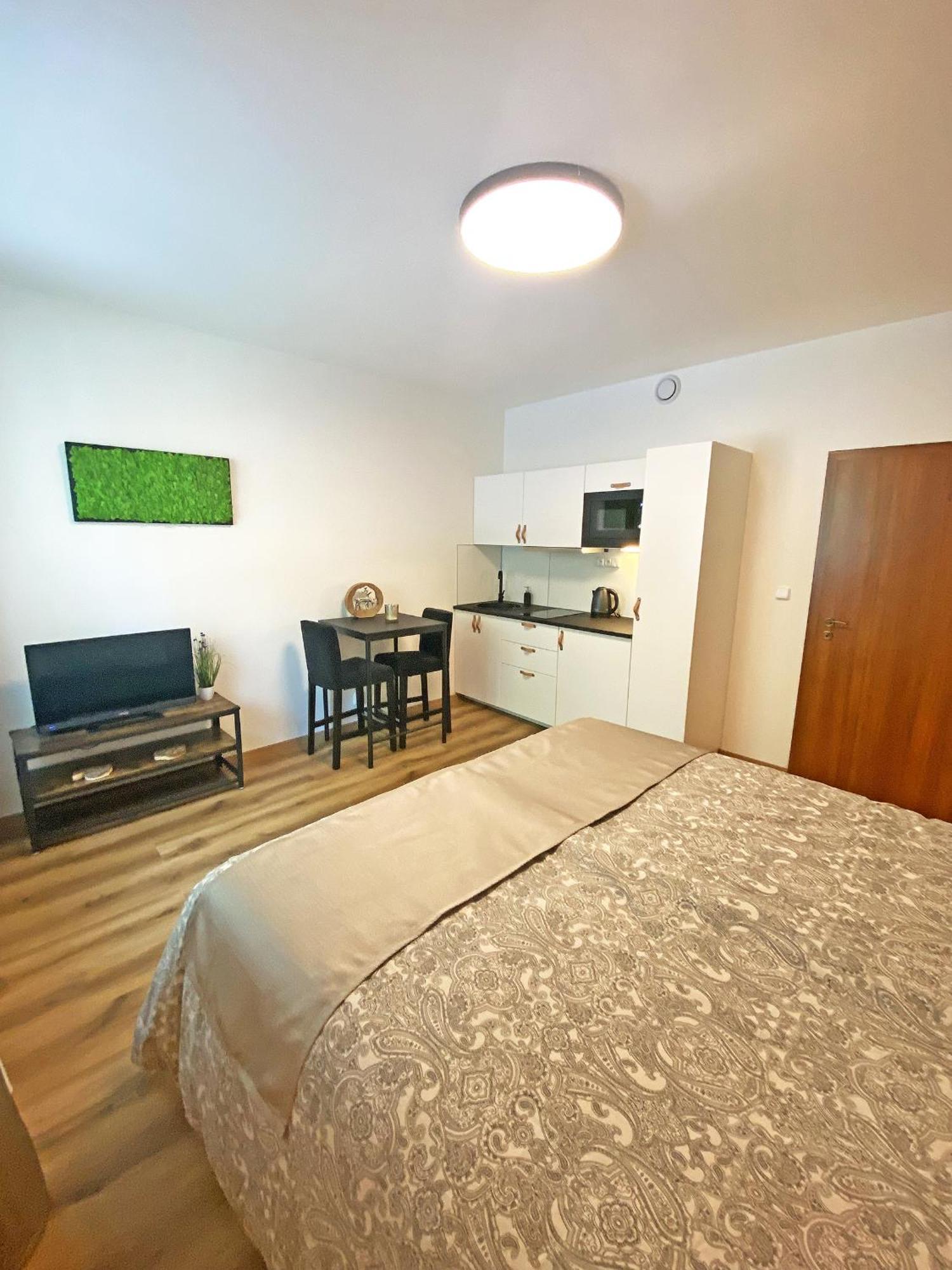 Apartmany Rezac Rokytnice nad Jizerou Exterior photo